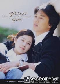 История любви в Гарварде / Rubeusutori in Habeodeu