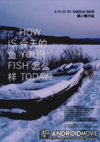 Как улов сегодня? / Jin tian de yu zen me yang?