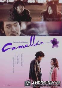 Камелия / Kamelia