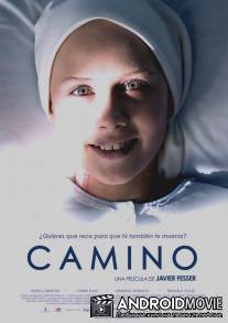 Камино / Camino