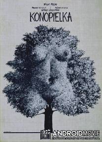 Коноплянка / Konopielka