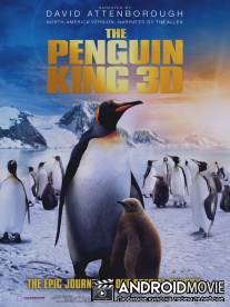 Король пингвинов / Penguin King, The