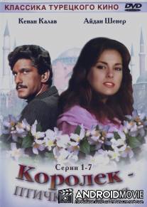 Королёк - птичка певчая / Calikusu