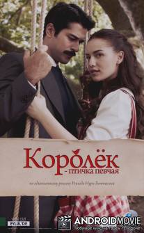 Королёк - птичка певчая / Calikusu
