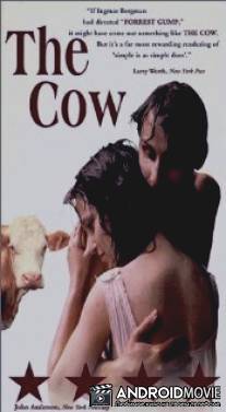 Корова / Krava