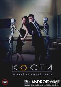 Кости / Bones