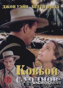 Ковбой с холмов / Shepherd of the Hills, The