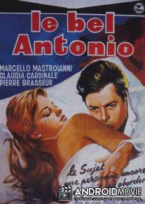 Красавчик Антонио / Il bell'Antonio