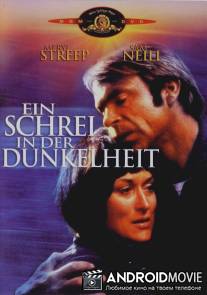 Крик во тьме / Cry in the Dark, A