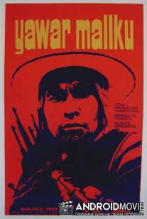 Кровь кондора / Yawar mallku