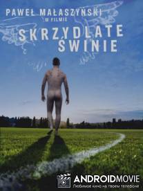 Крылатые свиньи / Skrzydlate swinie