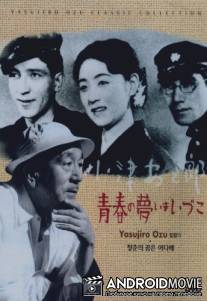 Куда делись мечты юности? / Seishun no yume imaizuko