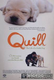 Куилл / Quill