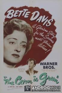 Кукуруза зеленая / Corn Is Green, The