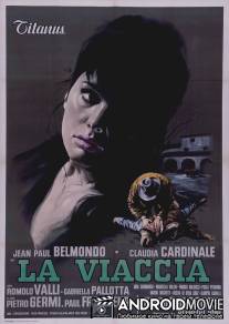 Ла Вьячча / La viaccia