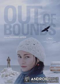 Лабрадор / Labrador