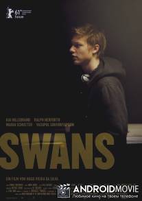 Лебеди / Swans