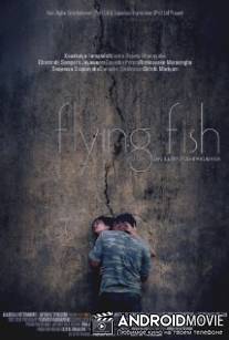 Летающая рыба / Igillena maluwo