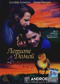 Летите домой / Fly Away Home