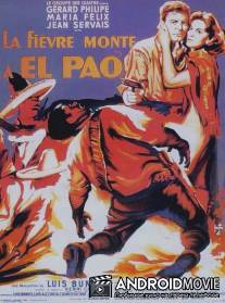 Лихорадка приходит в Эль-Пао / La fievre monte a El Pao