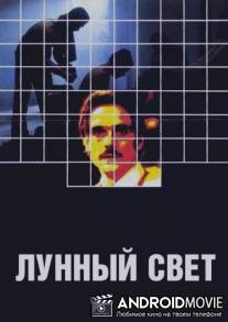 Лунный свет / Moonlighting