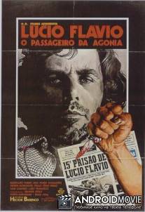 Лусиу Флавиу, агонизирующий пассажир / Lucio Flavio, o Passageiro da Agonia