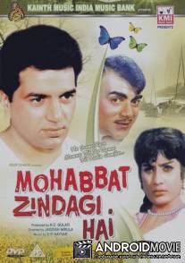 Любовь и ненависть / Mohabbat Zindagi Hai