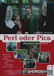 Маленькие секреты / Perl oder Pica