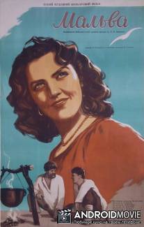 Мальва / Malva