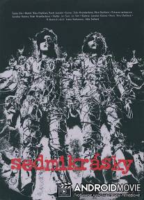 Маргаритки / Sedmikrasky