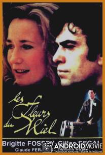 Медовый цвет / Les fleurs du miel