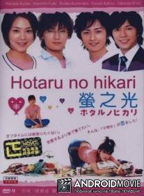 Мерцание светлячков / Hotaru no hikari