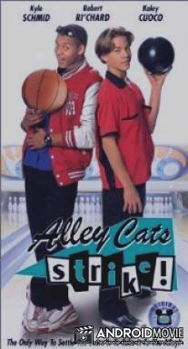 Меткий бросок / Alley Cats Strike