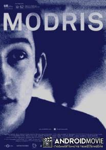 Модрис / Modris