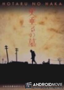 Могила светлячков / Hotaru no haka