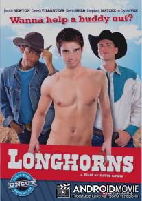 Молочные телята / Longhorns