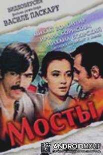 Мосты / Padurile