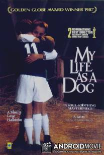 Моя собачья жизнь / Mitt liv som hund