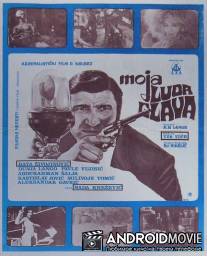 Моя сумасшедшая голова / Moja luda glava