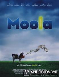 Мула / Moola