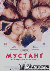 Мустанг / Mustang