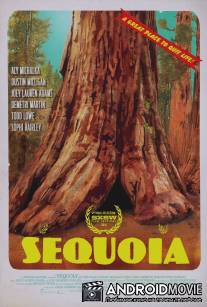 Национальный парк Секвойя / Sequoia