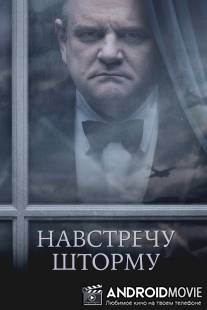 Навстречу шторму / Into the Storm