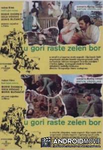 Назови пароль! / U gori raste zelen bor