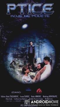 Некоторые птицы никогда не долетят / Ptice koje ne polete