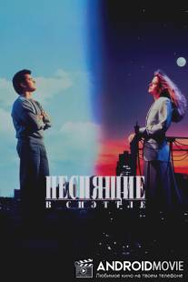 Неспящие в Сиэттле / Sleepless in Seattle