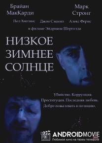 Низкое зимнее солнце / Low Winter Sun