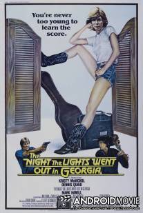 Ночь, когда погасли огни в Джорджии / Night the Lights Went Out in Georgia, The