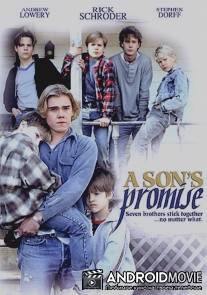 Обещание сына / A Son's Promise