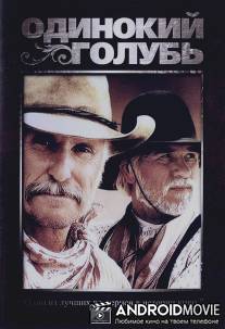 Одинокий голубь / Lonesome Dove